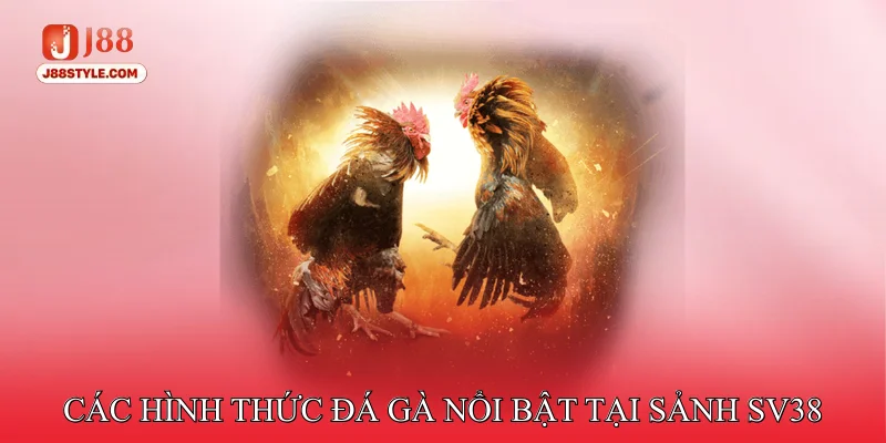 Đá Gà SV38 - Điểm Đến Uy Tín Hàng Đầu Của Cược Thủ Các hình thức đá gà nổi bật tại sảnh SV38