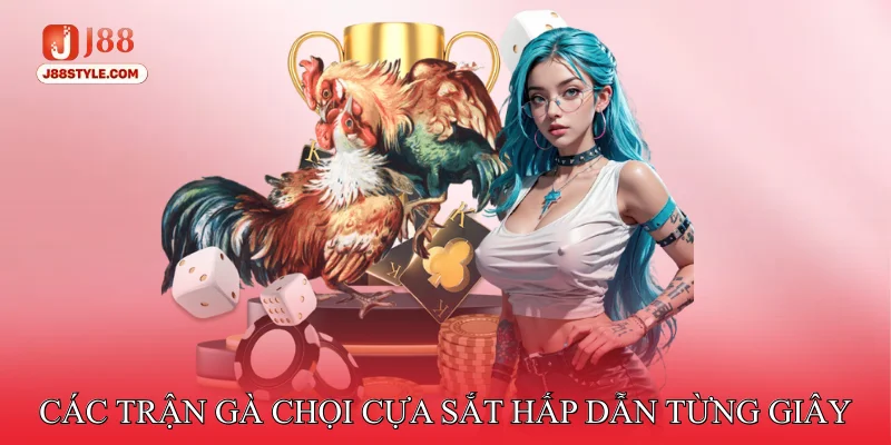 Đá Gà Cựa Sắt – Đắm Chìm Vào Những Trận Đấu Nghẹt Thở Các trận gà chọi cựa sắt hấp dẫn từng giây