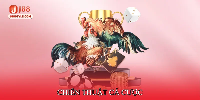 Đá Gà Cựa Dao - Quy Tắc Cực Chi Tiết Cho Người Mới Tham Gia Chiến thuật cá cược