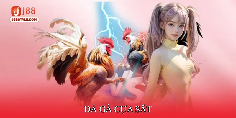 Đá Gà Cựa Sắt – Đắm Chìm Vào Những Trận Đấu Nghẹt Thở Đá gà cựa sắt