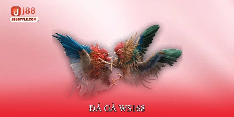 Đá Gà WS168 - Sân Chơi Của Các Chiến Kê Tuyển Chọn Đá gà WS168