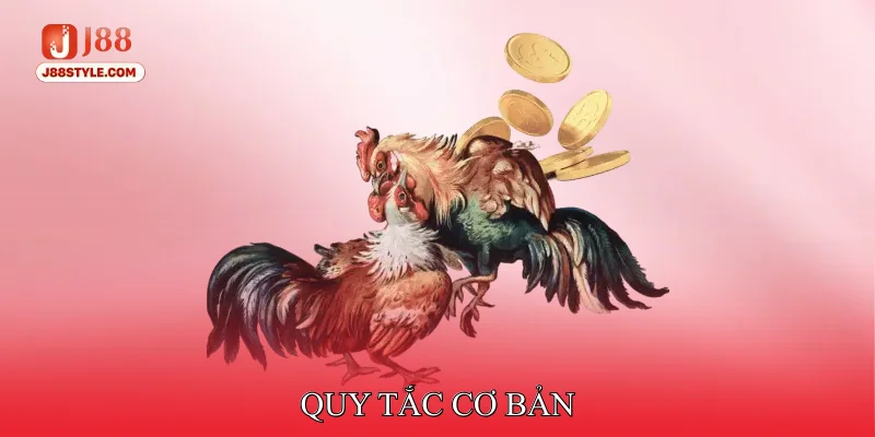 Đá Gà Cựa Dao - Quy Tắc Cực Chi Tiết Cho Người Mới Tham Gia Quy tắc cơ bản